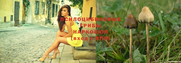 соль ск Арсеньев