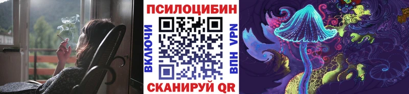 Псилоцибиновые грибы прущие грибы даркнет сайт Джанкой